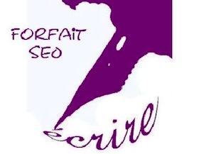 optimiser-article-referencement